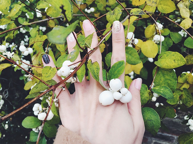 植物を触っている様子